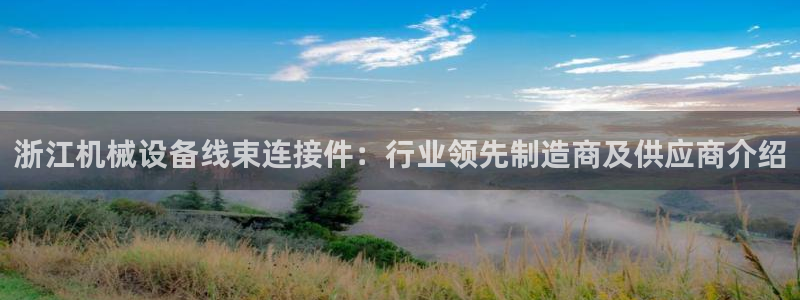 杏盛平台登陆：浙江机械设备线束连接件：行业领先制造商及供应商介绍