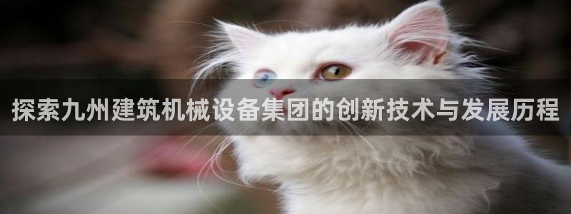 杏盛平台登录：探索九州建筑机械设备集团的创新技术与发展历程