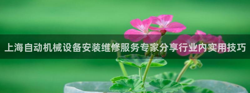 杏盛app下载：上海自动机械设备安装维修服务专家分享行业内实用技巧