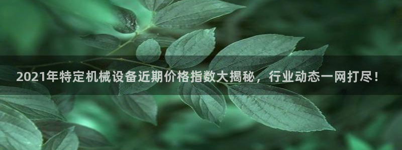 杏盛平台官网注册登录：2021年特定机械设备近期价格指数大揭秘，行业动态一网打尽