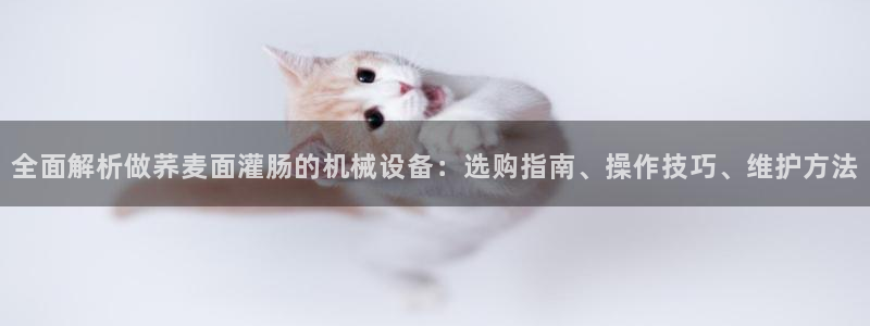 杏盛平台登陆地址：全面解析做荞麦面灌肠的机械设备：选购指南、操作技巧、维护方法