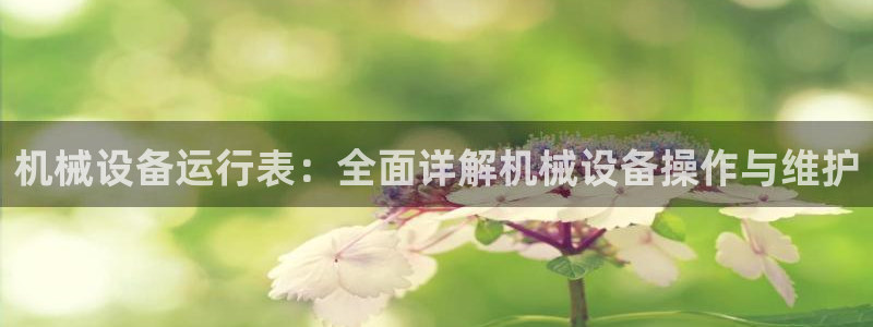 杏盛平台注册：机械设备运行表：全面详解机械设备操作与维护