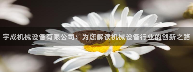 杏盛平台代理：宇成机械设备有限公司：为您解读机械设备行业的创新之路