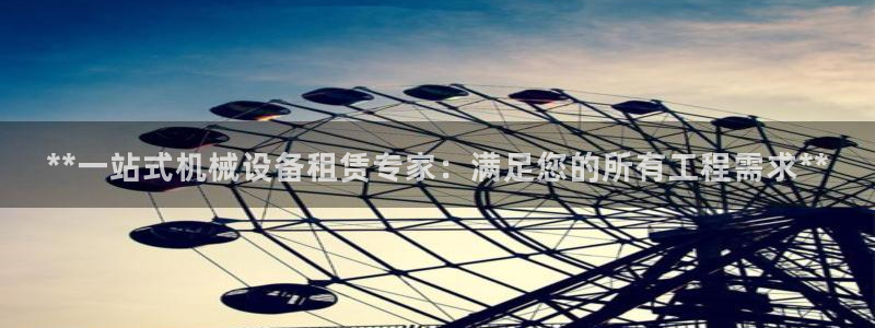杏盛东24 35 53：**一站式机械设备租赁专家：满足您的所有工程需求**