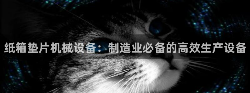 杏盛官网：纸箱垫片机械设备：制造业必备的高效生产设备