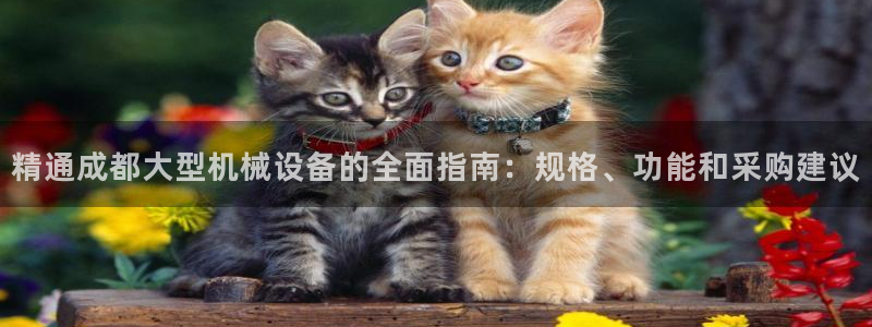 杏盛平台开户 贴吧：精通成都大型机械设备的全面指南：规格、功能和采购建议