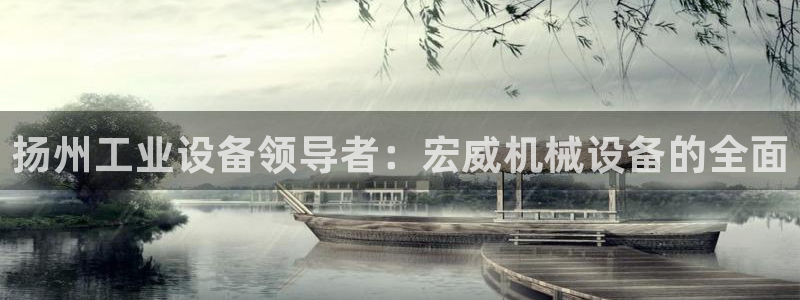 杏盛代理：扬州工业设备领导者：宏威机械设备的全面
