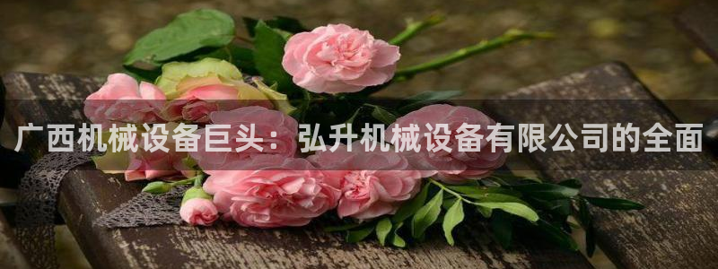 杏盛平台登录地址：广西机械设备巨头：弘升机械设备有限公司的全面