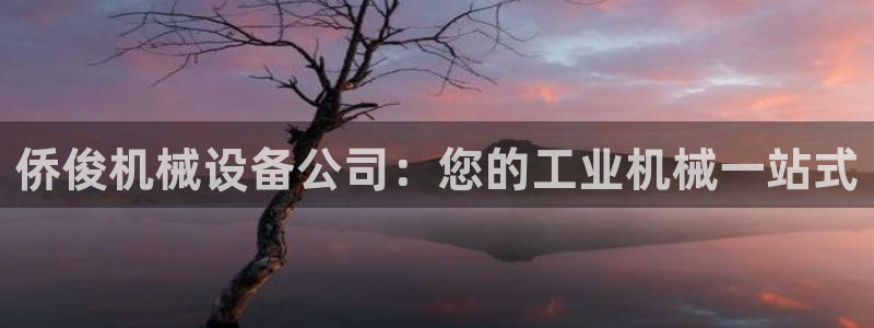 杏盛平台上级