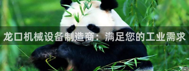 杏盛代理：龙口机械设备制造商：满足您的工业需求