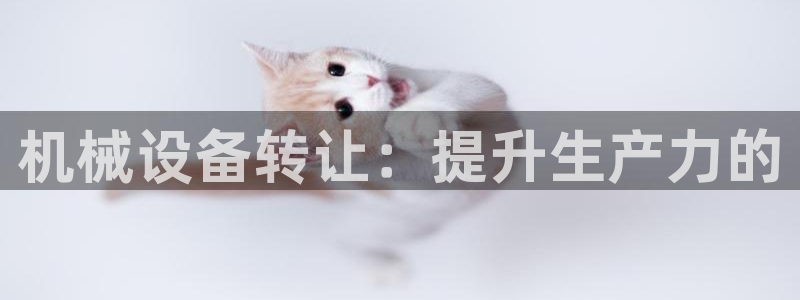 杏盛官网登录：机械设备转让：提升生产力的
