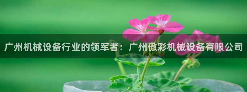 杏盛平台：广州机械设备行业的领军者：广州傲彩机械设备有限公司