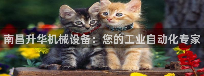 杏盛平台：南昌升华机械设备：您的工业自动化专家
