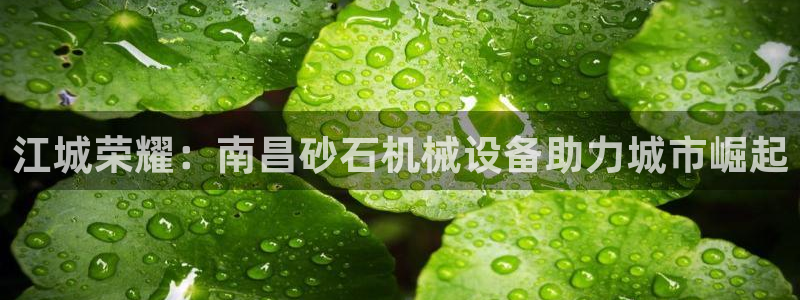 杏盛平台登录地址