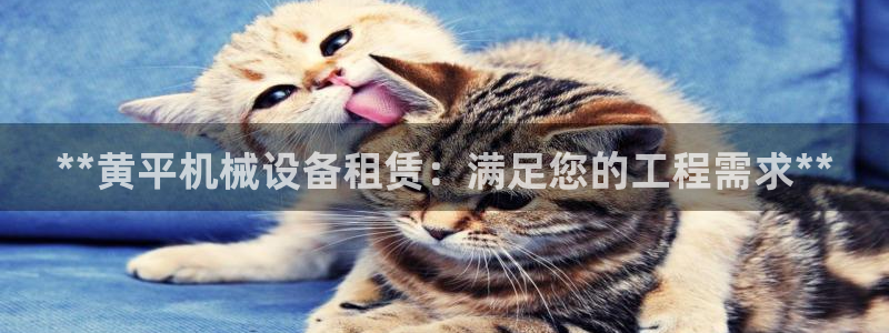 杏盛平台开户：**黄平机械设备租赁：满足您的工程需求**