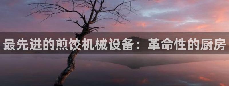 杏盛官方平台：最先进的煎饺机械设备：革命性的厨房