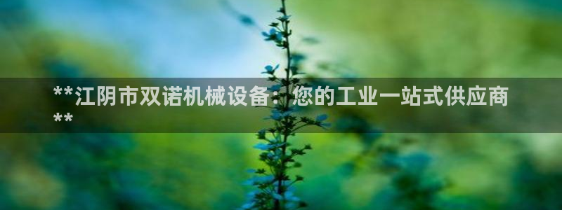 杏盛官网：**江阴市双诺机械设备：您的工业一站式供应商
**