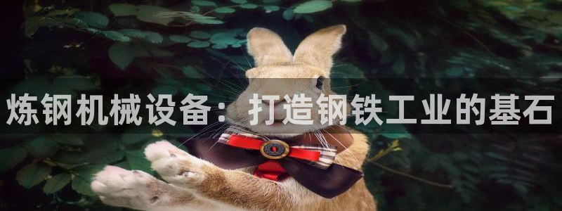 杏盛平台代理注册：炼钢机械设备：打造钢铁工业的基石