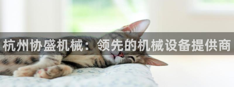杏盛平台主管