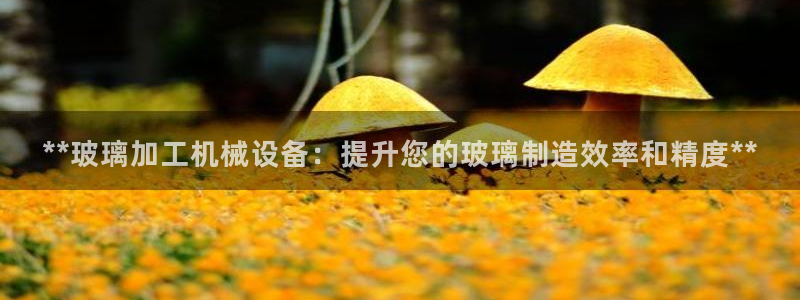 杏盛娱乐代理：**玻璃加工机械设备：提升您的玻璃制造效率和精度**