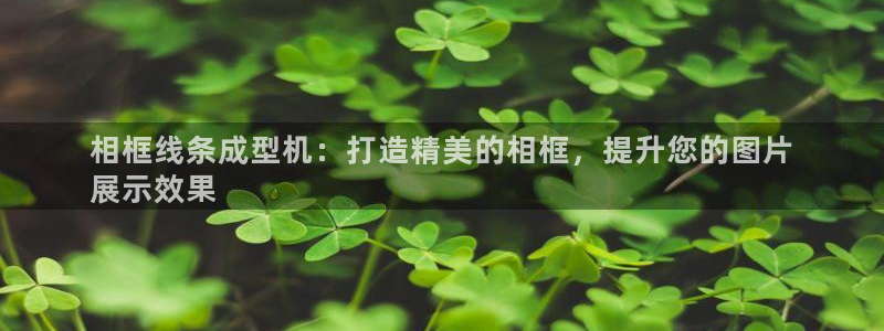 杏盛平台登陆