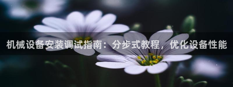 杏盛平台登陆地址：机械设备安装调试指南：分步式教程，优化设备性能