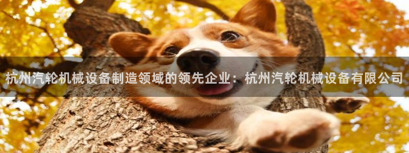 杏盛平台登录：杭州汽轮机械设备制造领域的领先企业：杭州汽轮机械设备有限公司