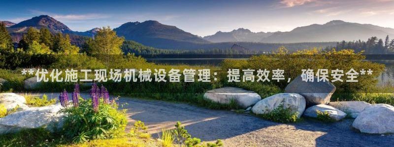 杏盛官方平台：**优化施工现场机械设备管理：提高效率，确保安全**