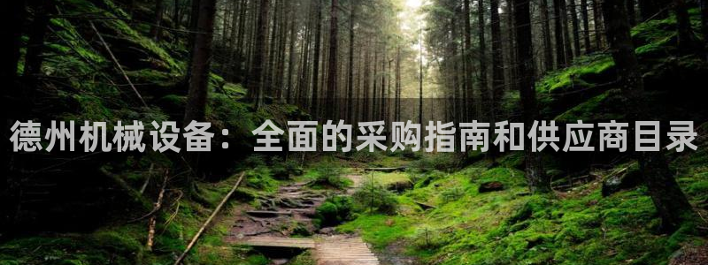 杏盛平台代理注册：德州机械设备：全面的采购指南和供应商目录