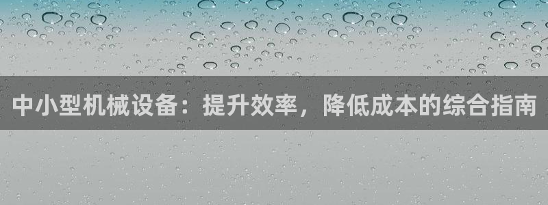杏盛平台注册：中小型机械设备：提升效率，降低成本的综合指南