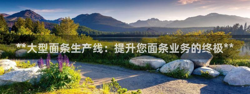杏盛平台开户 贴吧：**大型面条生产线：提升您面条业务的终极**