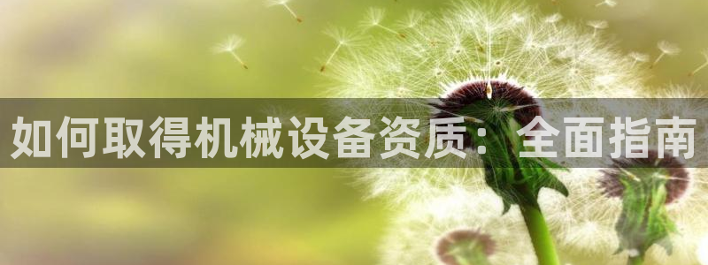 杏盛主管：如何取得机械设备资质：全面指南