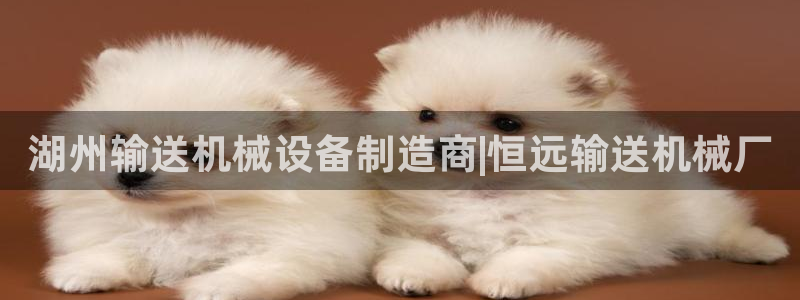 杏盛东24 35 53：湖州输送机械设备制造商|恒远输送机械厂