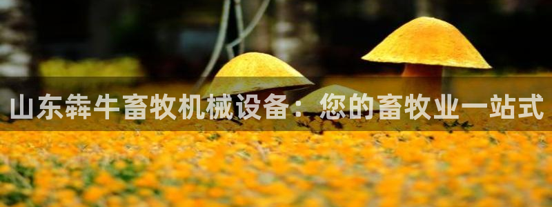 杏盛平台登陆地址：山东犇牛畜牧机械设备：您的畜牧业一站式