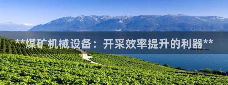 杏盛东24 35 53：**煤矿机械设备：开采效率提升的利器**