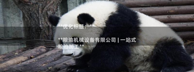 杏盛娱乐代理：**优化标题：**

**粮油机械设备有限公司 | 一站式
粮油加