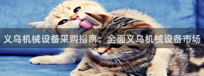杏盛平台代理：义乌机械设备采购指南：全面义乌机械设备市场
