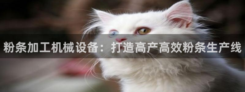 杏盛平台登陆：粉条加工机械设备：打造高产高效粉条生产线