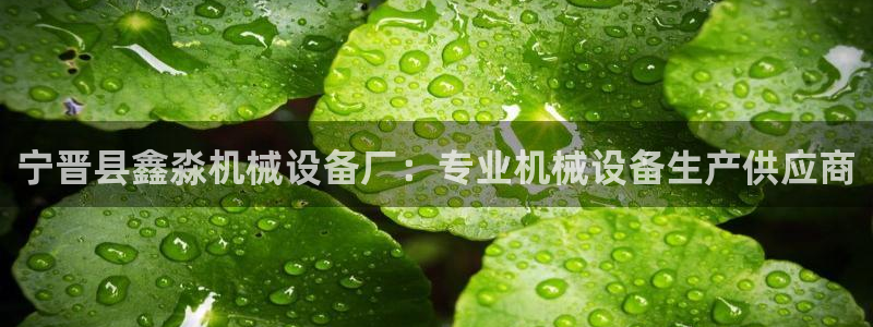 杏盛平台开户 贴吧：宁晋县鑫淼机械设备厂：专业机械设备生产供应商