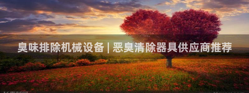 杏盛平台上级：臭味排除机械设备 | 恶臭清除器具供应商推荐