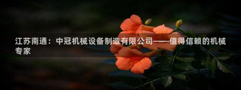 杏盛平台开户：江苏南通：中冠机械设备制造有限公司——值得信赖的机械
专家