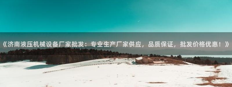 杏盛平台登录地址：《济南液压机械设备厂家批发：专业生产厂家供应，品质保证，批发价