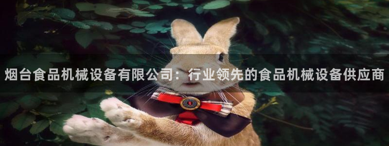 杏盛平台开户：烟台食品机械设备有限公司：行业领先的食品机械设备供应商