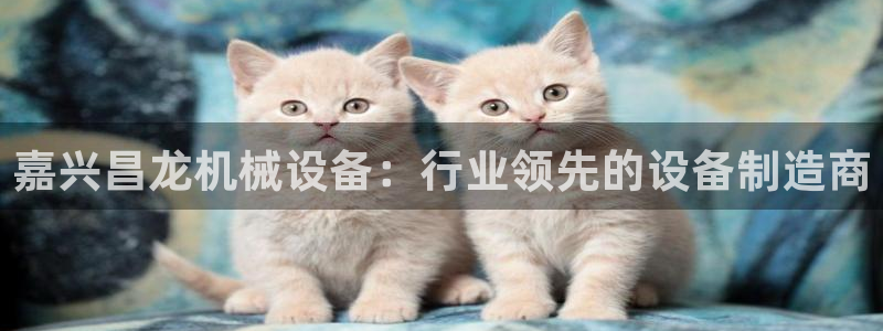 杏盛平台官网