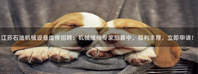 杏盛平台：江苏石油机械设备维修招聘：机械维修专家招募中，福利丰厚，立即申请！
