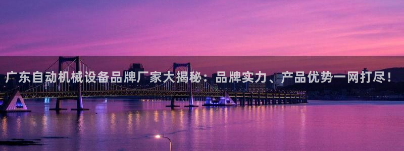 杏盛主管：广东自动机械设备品牌厂家大揭秘：品牌实力、产品优势一网打尽！