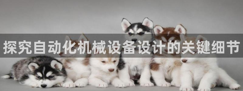 杏盛平台官网：探究自动化机械设备设计的关键细节