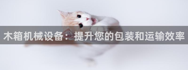 杏盛官网：木箱机械设备：提升您的包装和运输效率