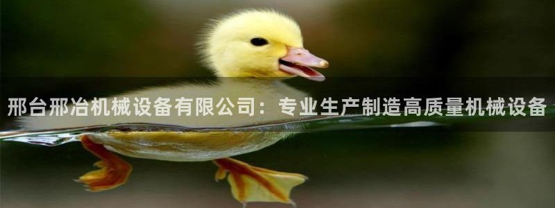杏盛平台登陆：邢台邢冶机械设备有限公司：专业生产制造高质量机械设备