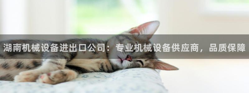 杏盛主管：湖南机械设备进出口公司：专业机械设备供应商，品质保障